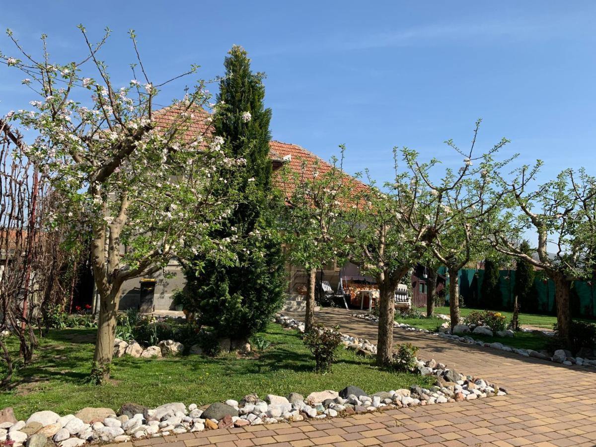 Casa Lui Mosu Alba Iulia Exterior foto